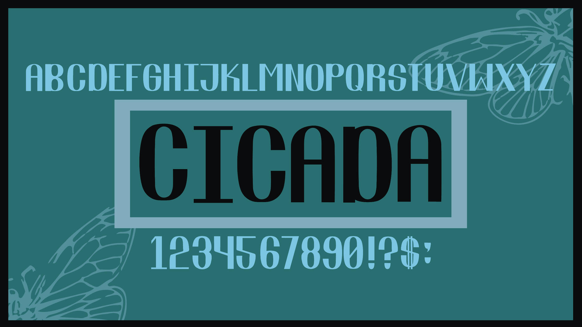 Custom Typeface